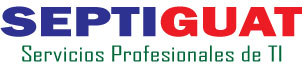Servicios Profesionales de TI Guatemala (SEPTIGUAT)